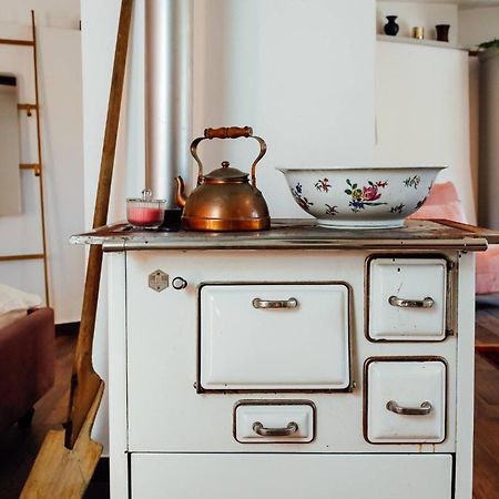 Apartment Aussee- Atelier Salzherrenhof- Kueche, Wlan, Netflix Bad Aussee Dış mekan fotoğraf
