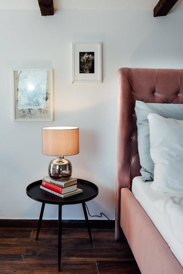 Apartment Aussee- Atelier Salzherrenhof- Kueche, Wlan, Netflix Bad Aussee Dış mekan fotoğraf