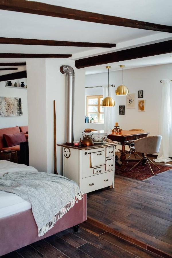 Apartment Aussee- Atelier Salzherrenhof- Kueche, Wlan, Netflix Bad Aussee Dış mekan fotoğraf