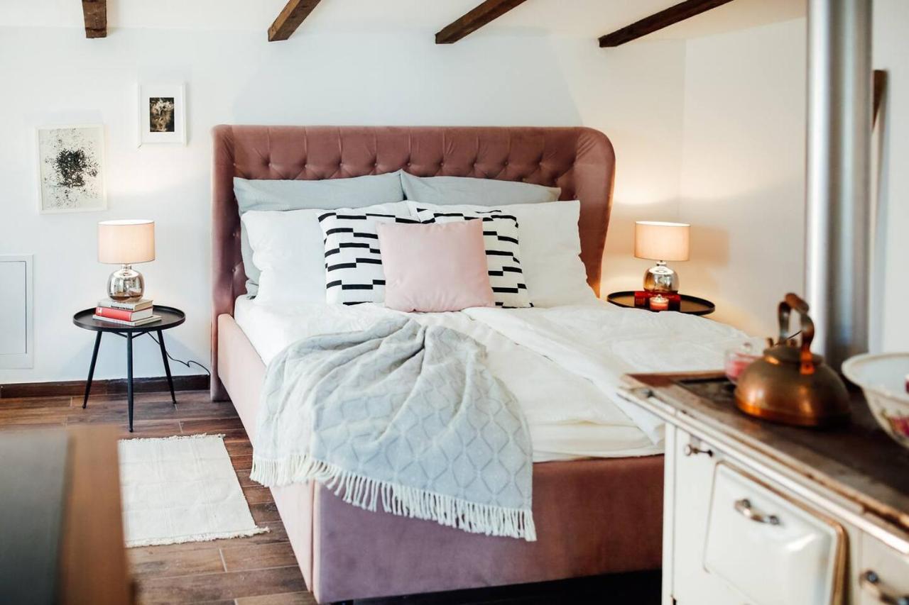 Apartment Aussee- Atelier Salzherrenhof- Kueche, Wlan, Netflix Bad Aussee Dış mekan fotoğraf
